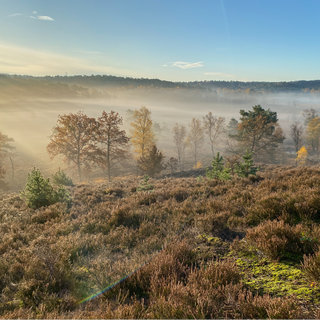 A cosy autumn