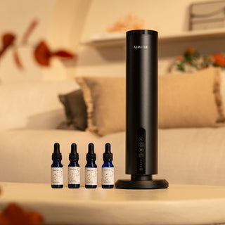 Scent diffuser bundles