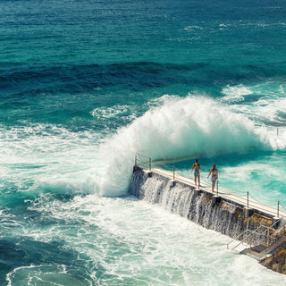 Bondi Bergamot Australia