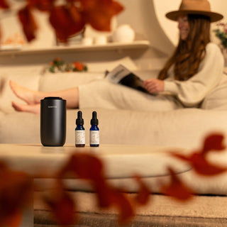 Haevn Move black portable